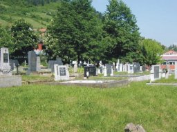 Gradsko zelenilo