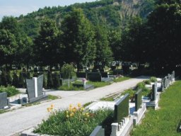 Gradsko zelenilo