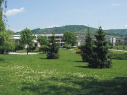 Gradsko zelenilo